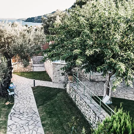 Rosebud * 尼基亚娜