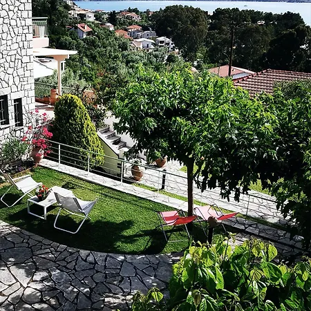 Rosebud 尼基亚娜