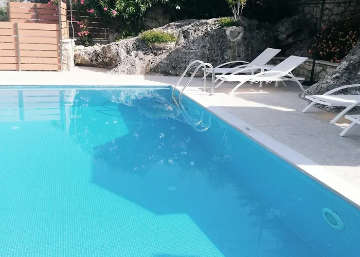 Rosebud 尼基亚娜