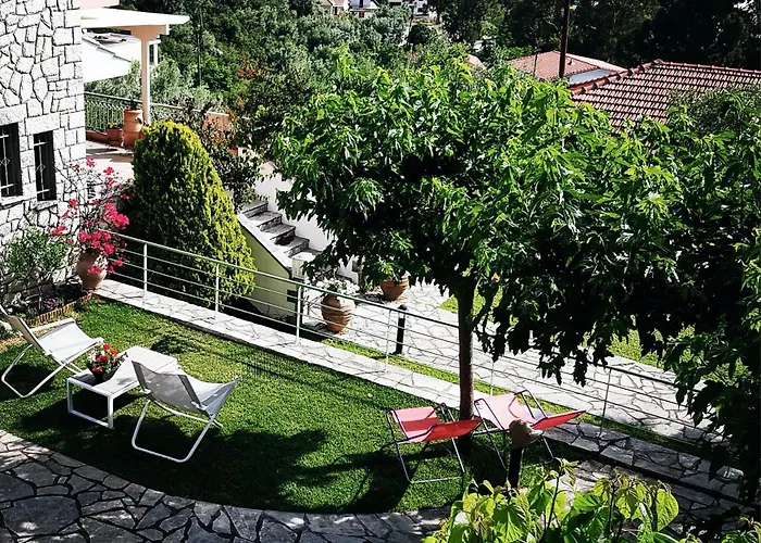 Rosebud 尼基亚娜